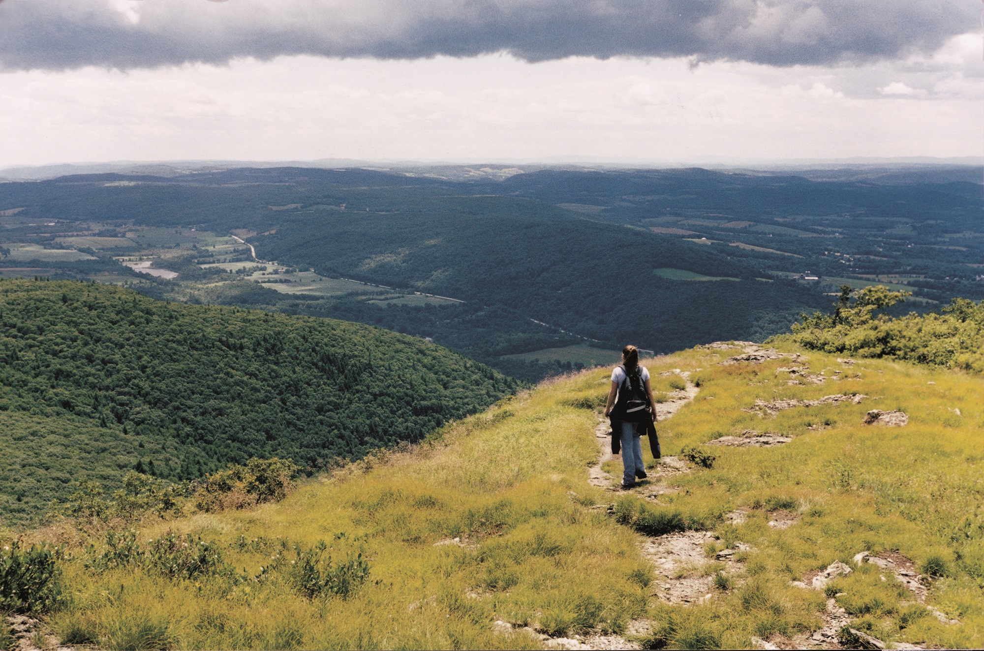 Are Dogs Allowed On Mount Washington